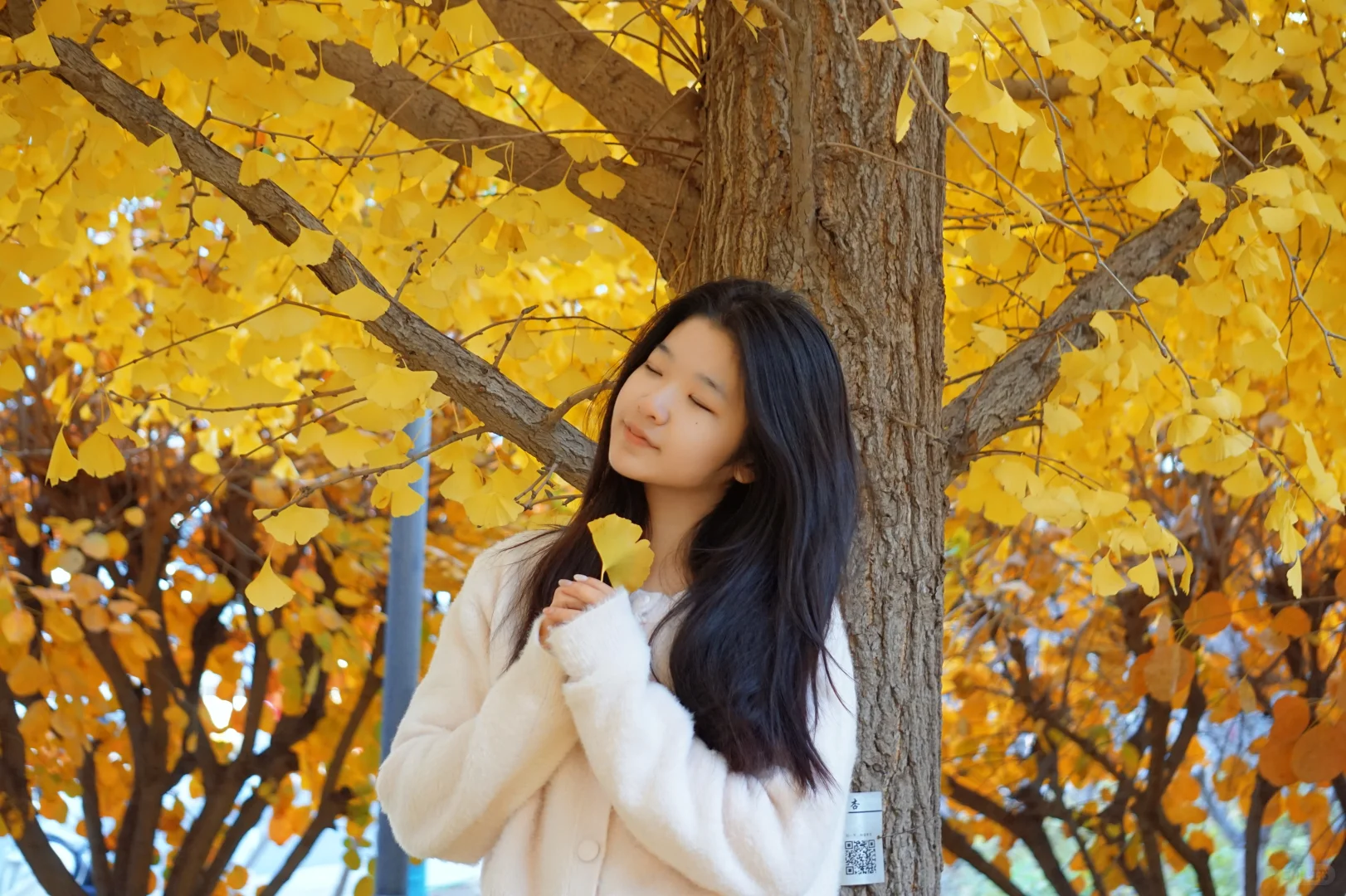 04女大⎮又是一年首经贸的秋