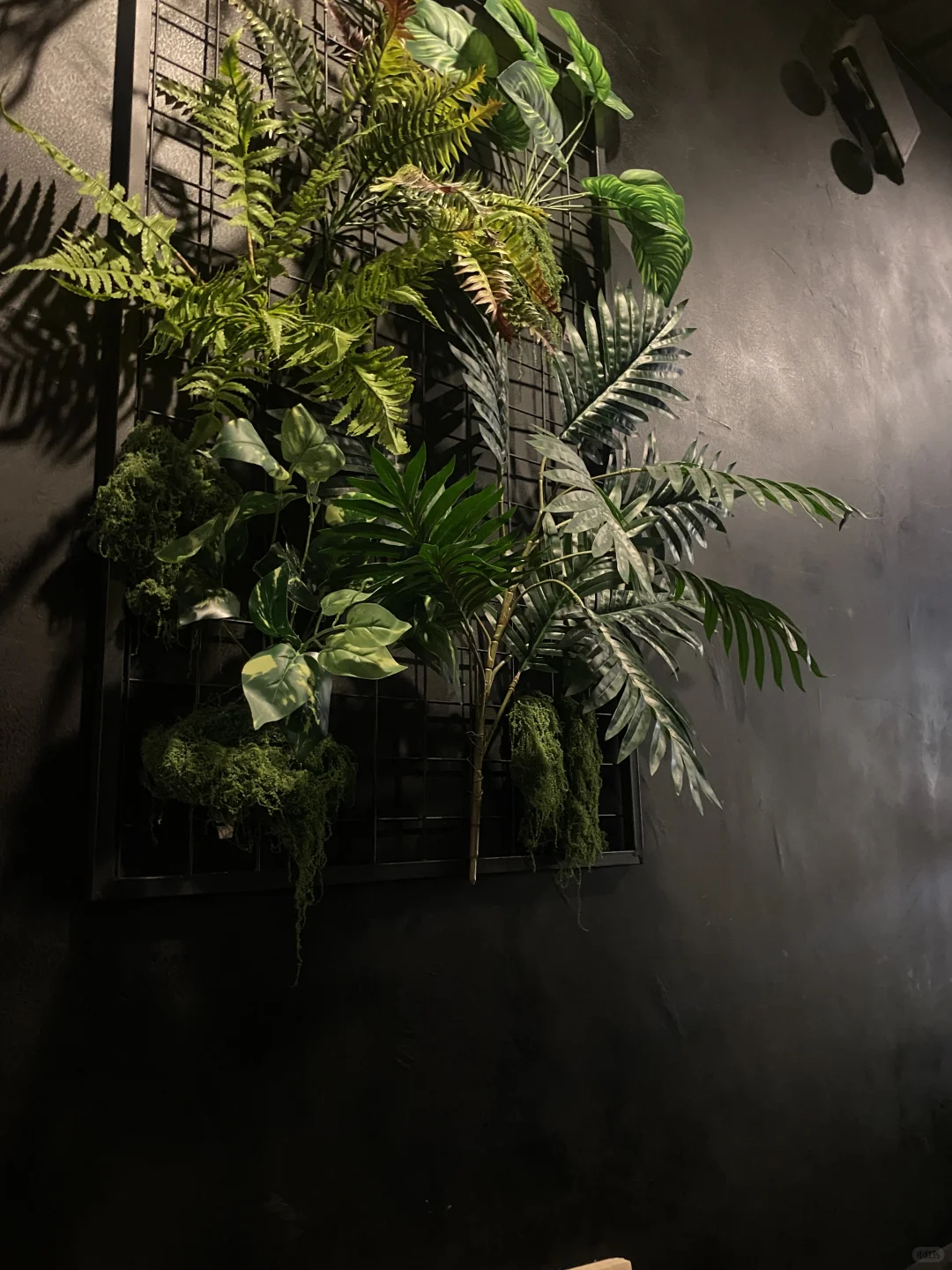 邯郸魔咒小酒馆 太好拍了