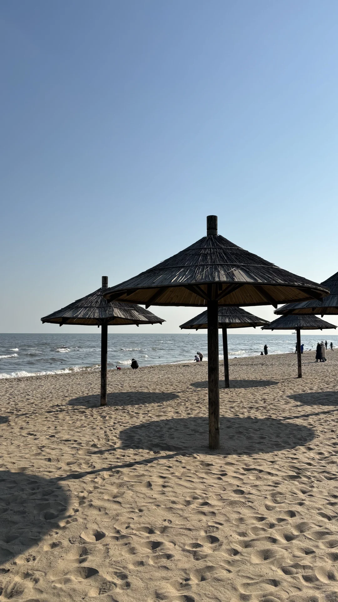 在阿那亚的幸福瞬间📖🌊