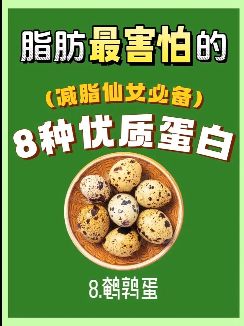 适合减肥期间吃的8种优质蛋白！减肥必看！