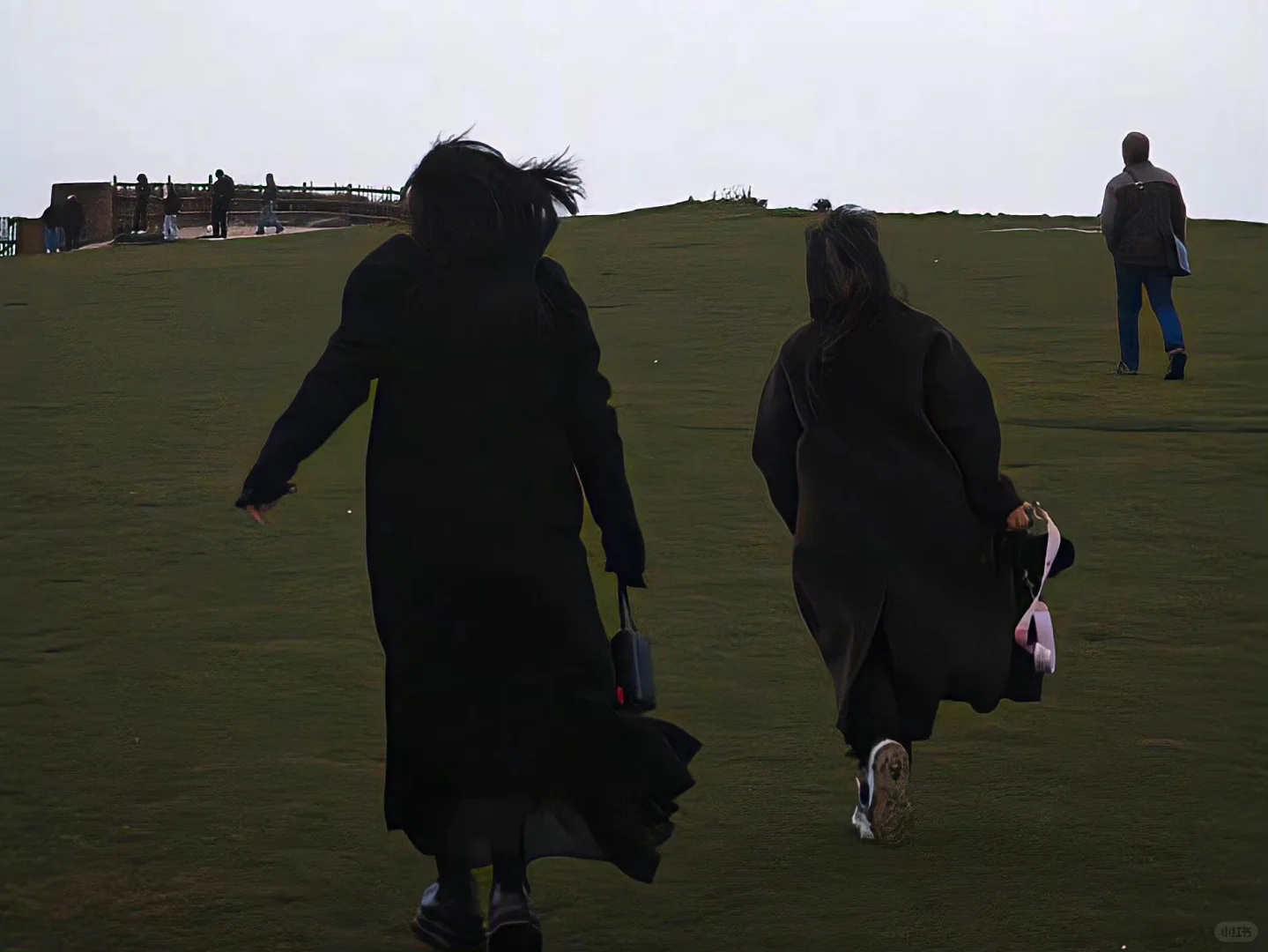 IPAD里的的秋天🍂