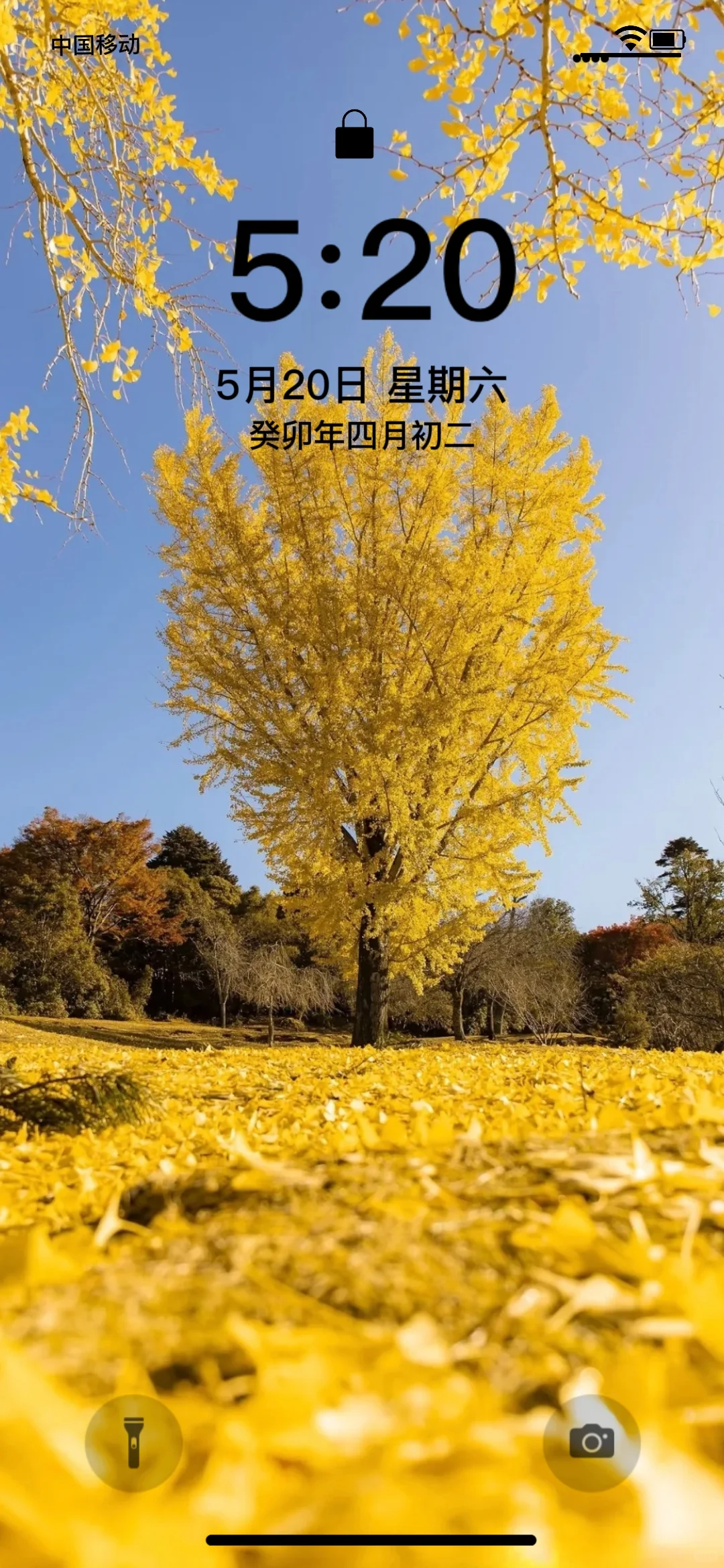 ins超好看的秋天壁纸！🍎🍁