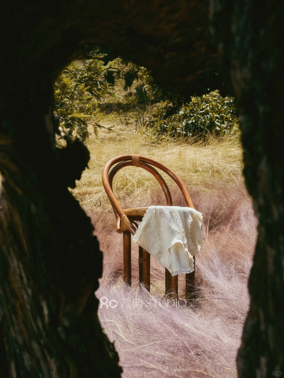 内衣品类风格化摄影我们没输过｜内衣摄影