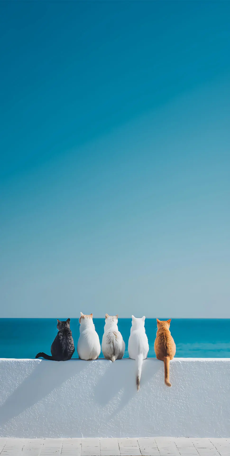 精选壁纸｜全屏