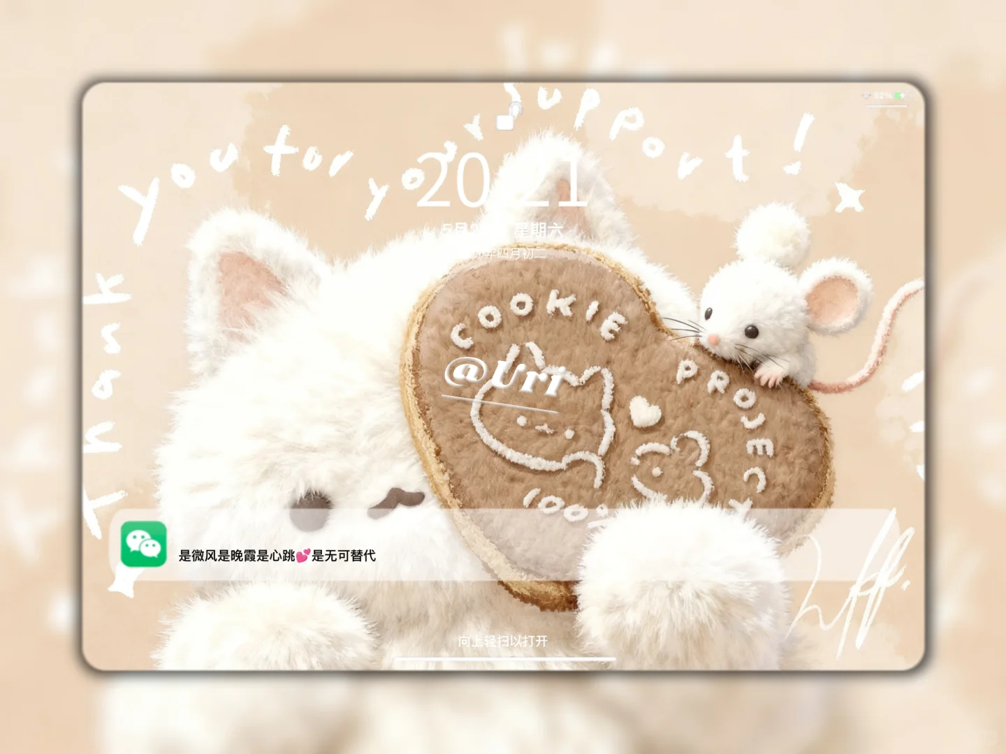 Share | 𝒊𝒑𝒂𝒅壁纸 毛茸茸质感