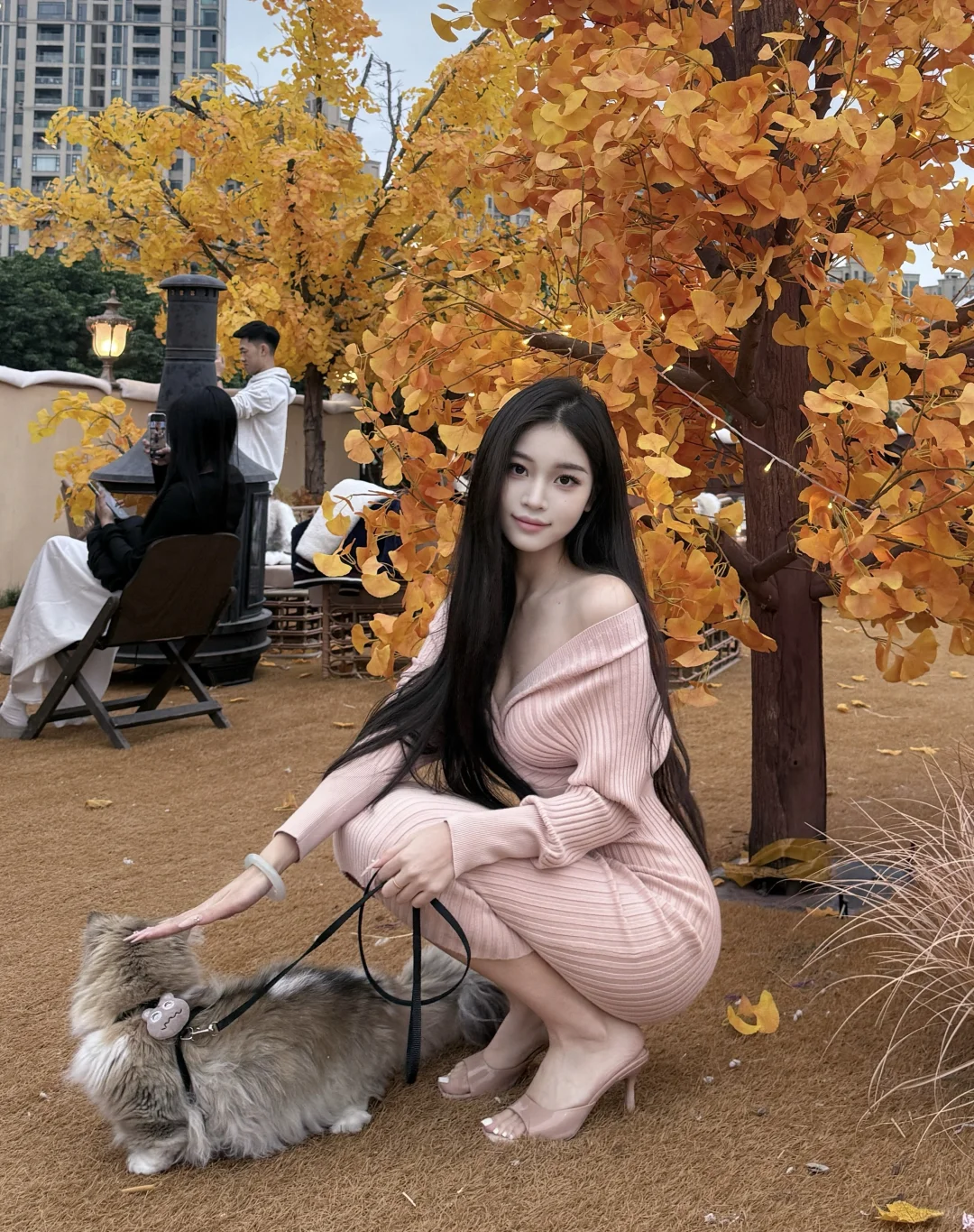 就在东莞！可以拍美照又可以吃漂亮饭🍂