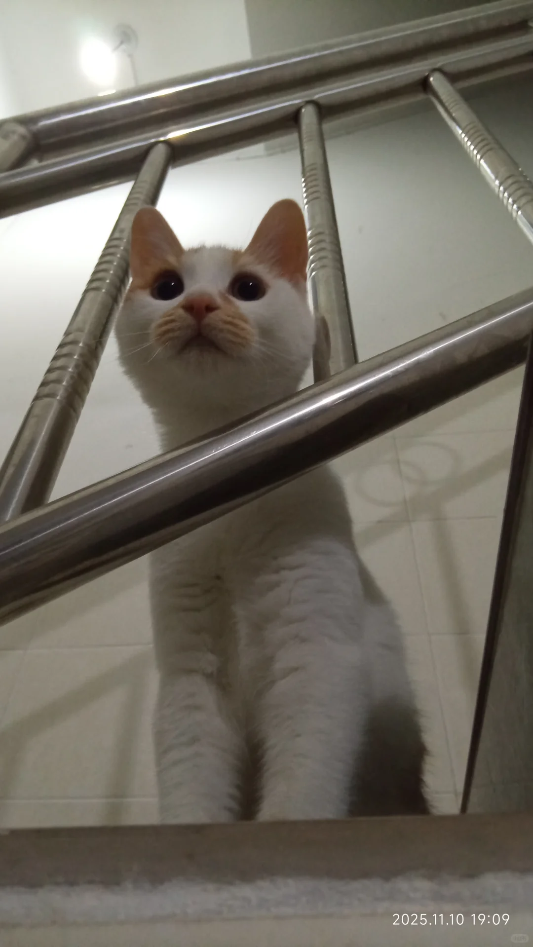 我们都是天使小女孩