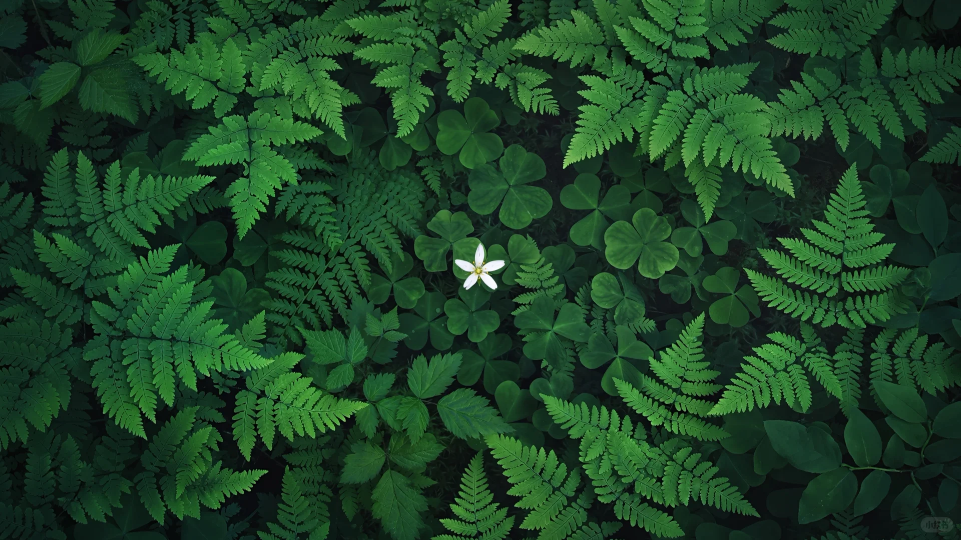 🌟113｜氛围感壁纸合集