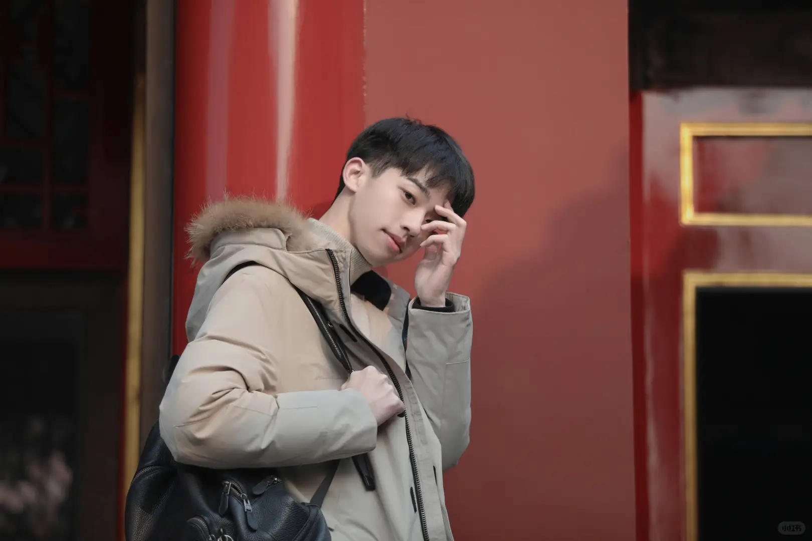 我最爱的电脑壁纸