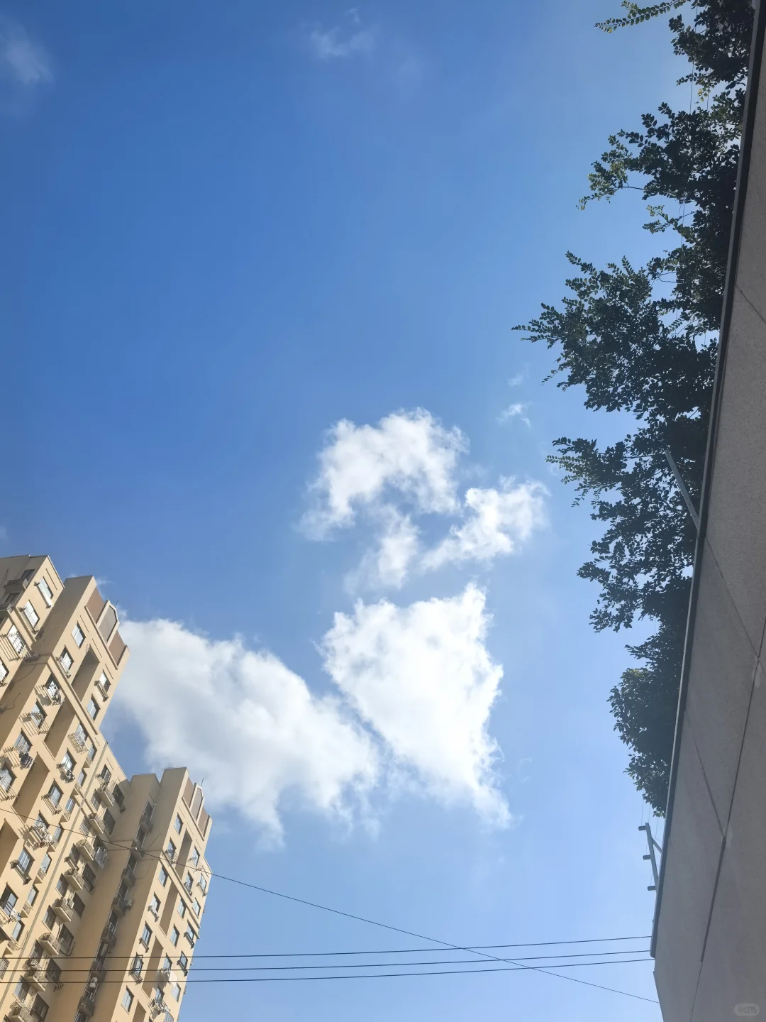 晨跑8km，我跟太阳在斗争