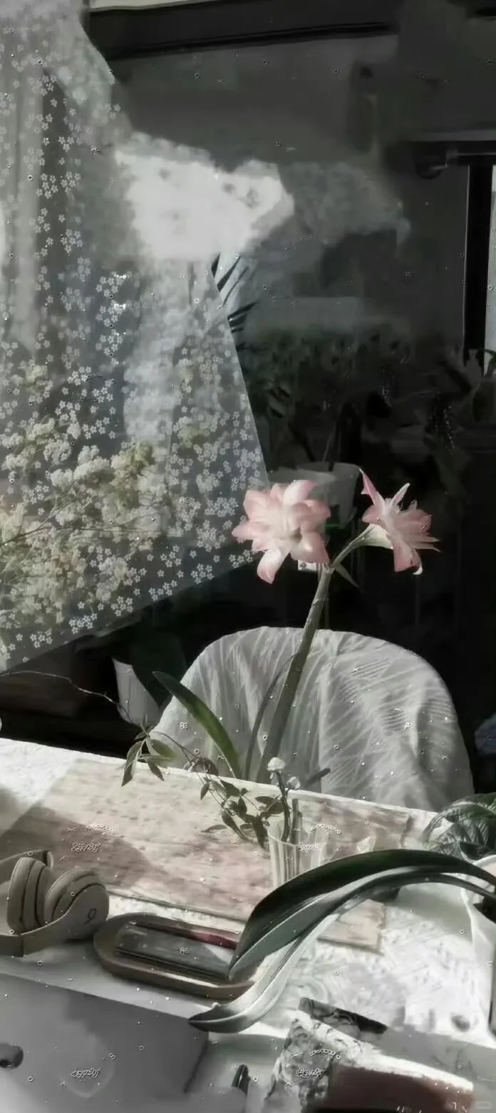 氛围感壁纸第四十二弹