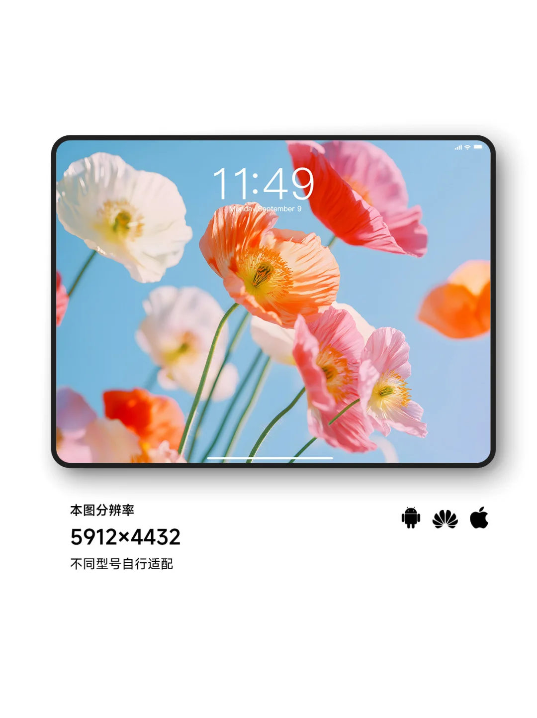 鲜花只为自己开｜ios26适配3D景深壁纸Z395