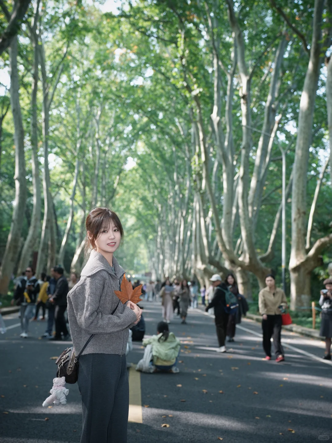 花100r拍的照片！大家觉得值吗