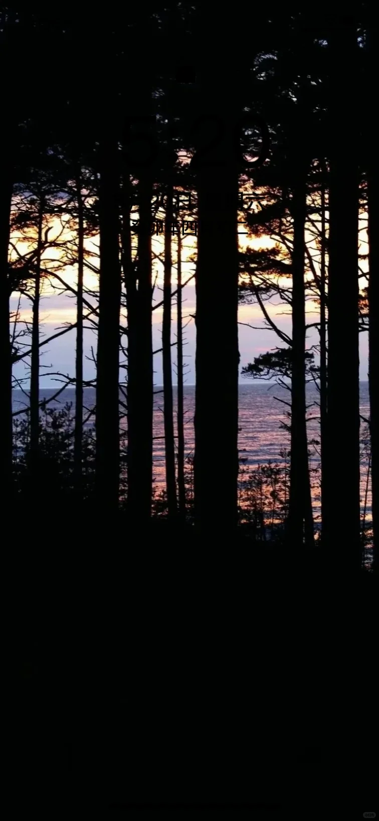 ins超好看的秋天壁纸！🍎🍁