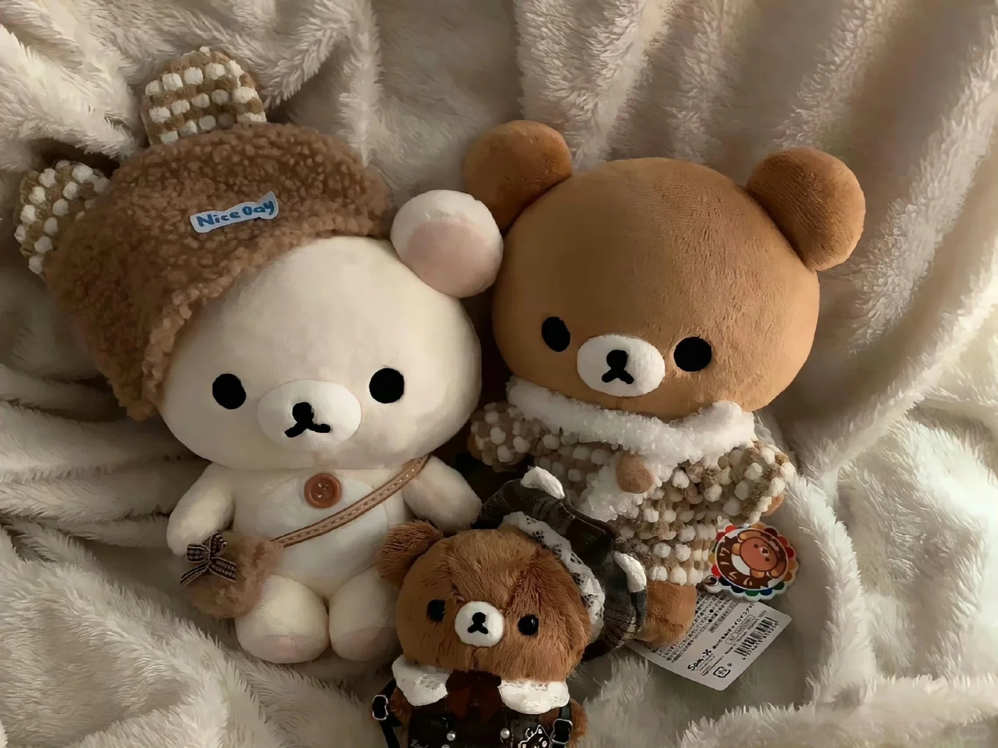 IPAD里的的秋天🍂