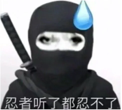 龙龙上新｜快来进货嘻嘻