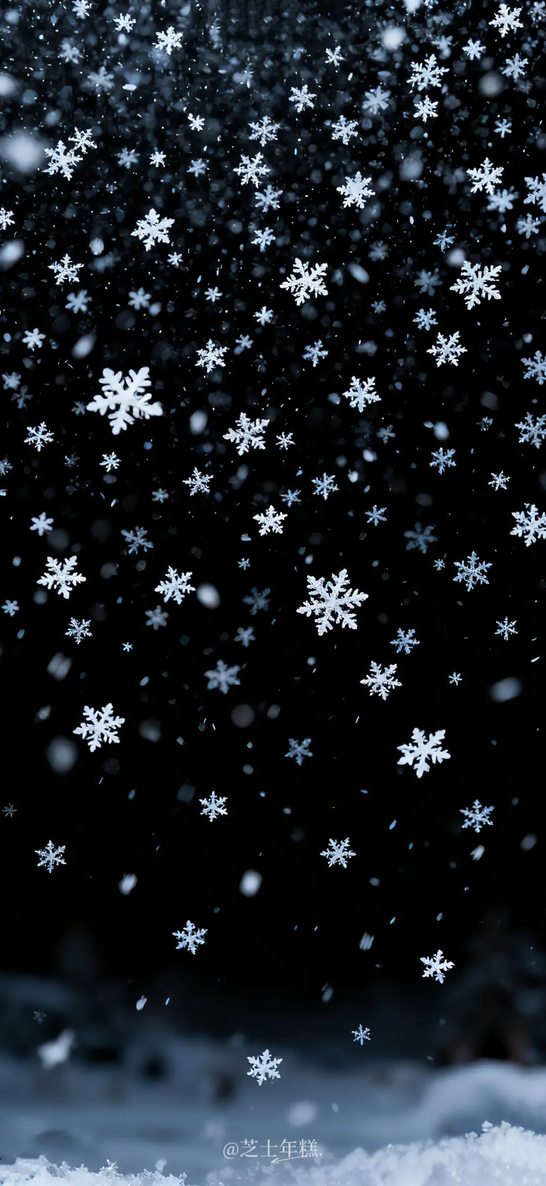 ～雪花❄️～壁纸❄️～来啦～