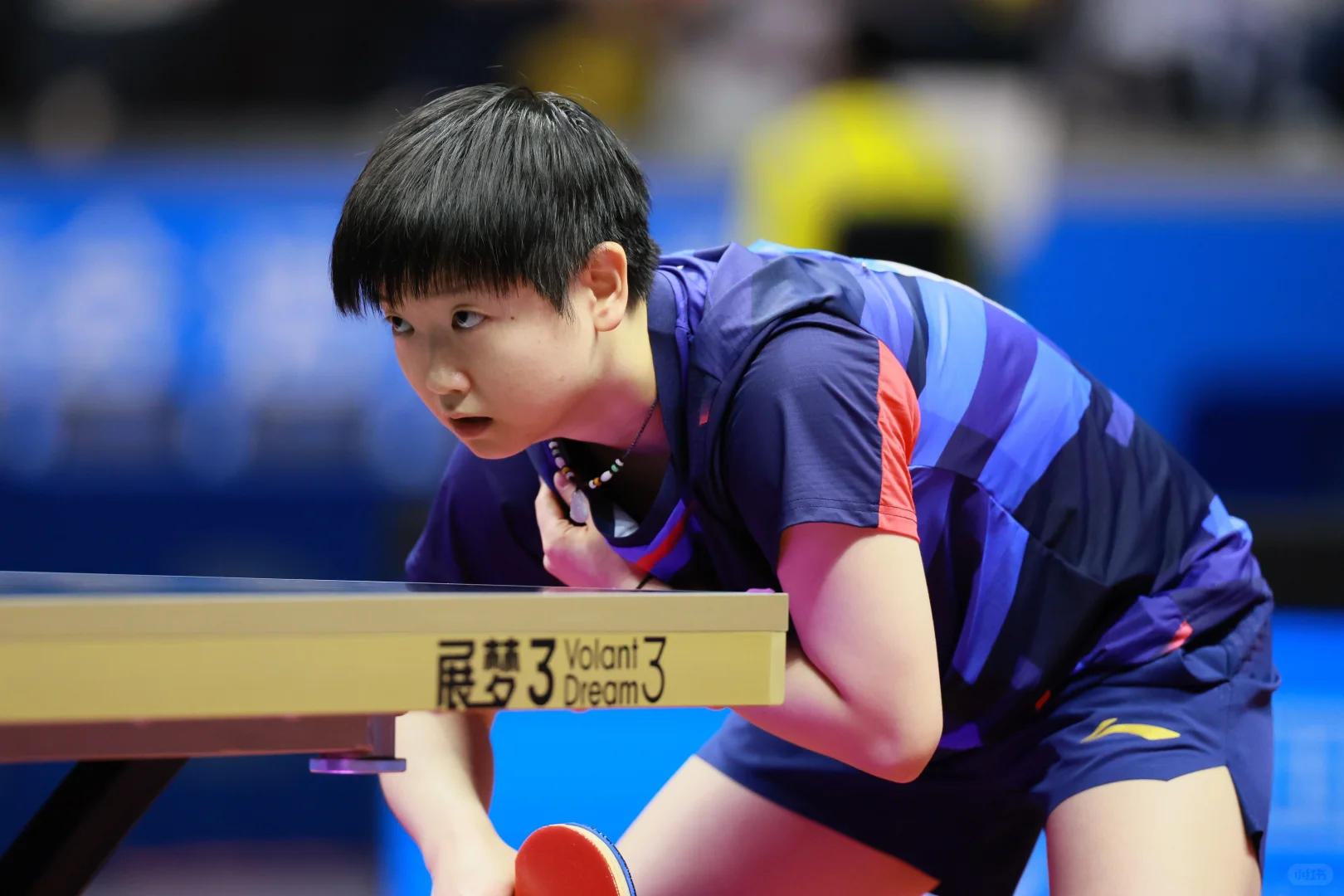 第十五届全国运动会🏓🦈 11.12