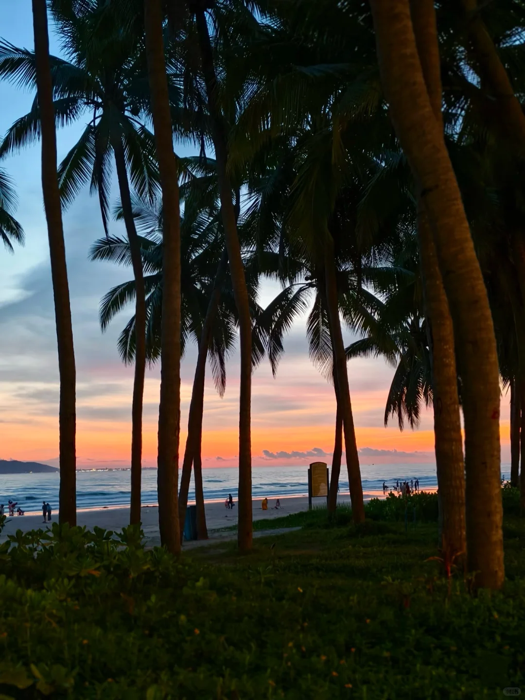 海岛度假穿搭plog👗