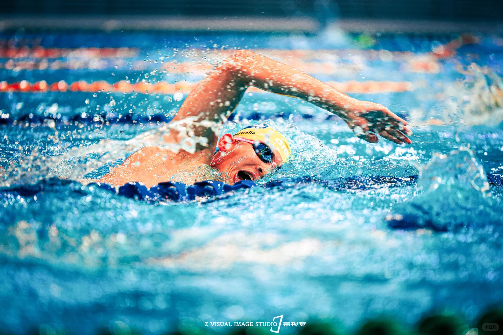 自由泳拍摄，难拍但好看！