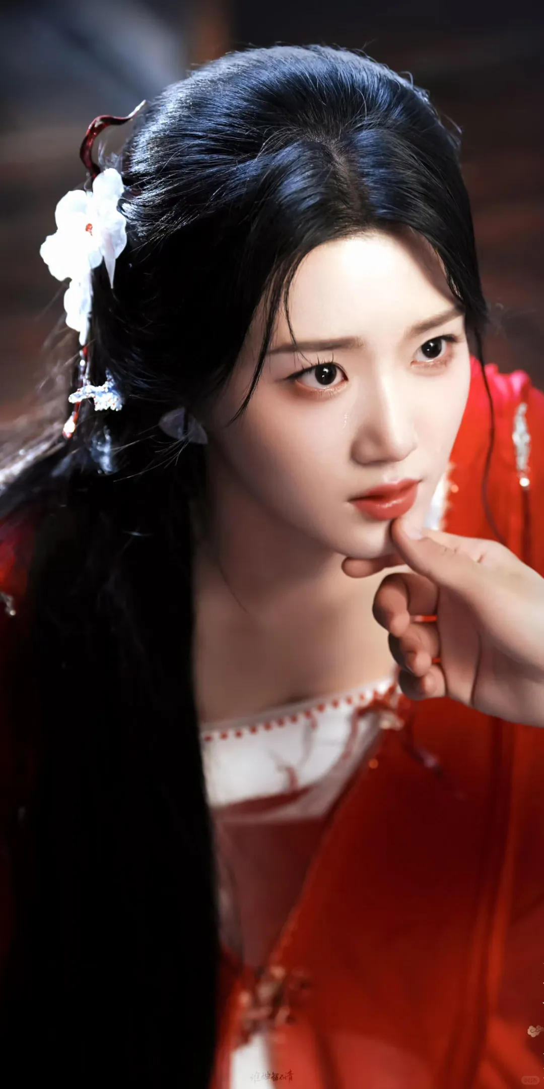 入青云×卢昱晓