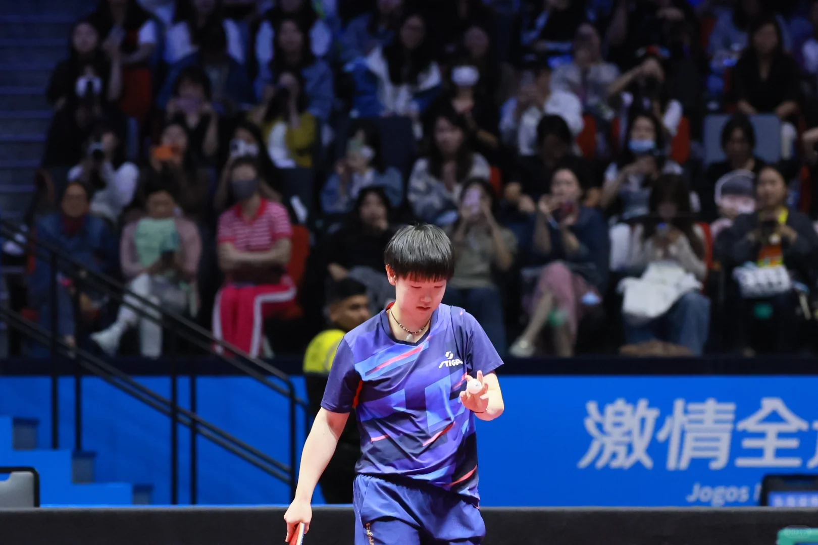 第十五届全国运动会🏓🦈 11.12