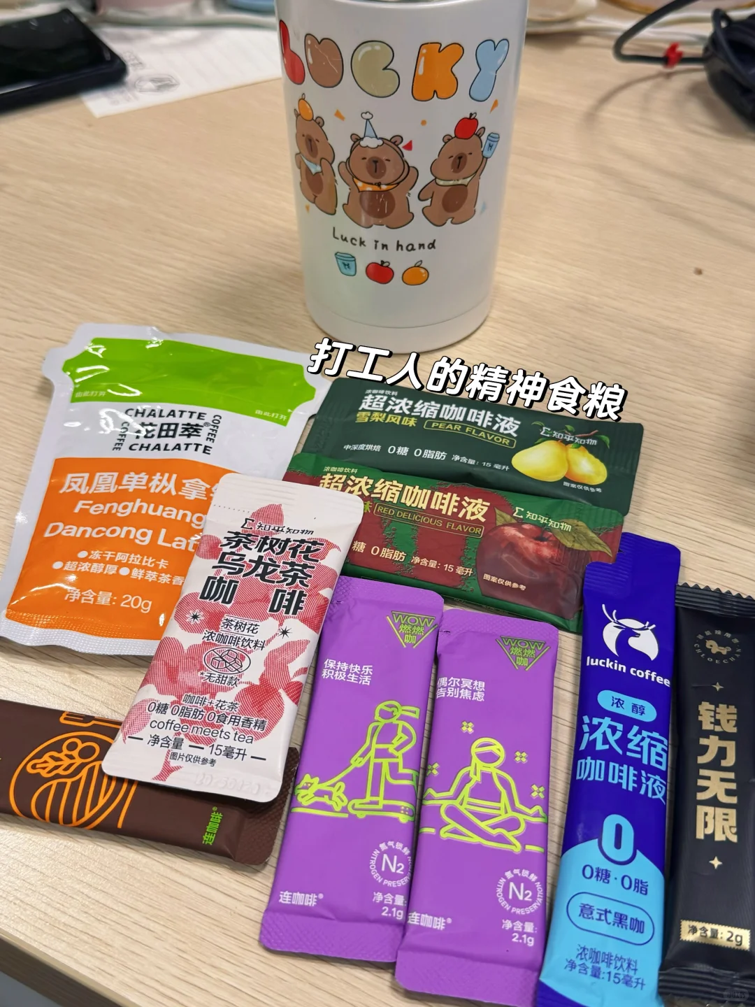 Plog新人博主｜ 🔁刘亦菲好美😍