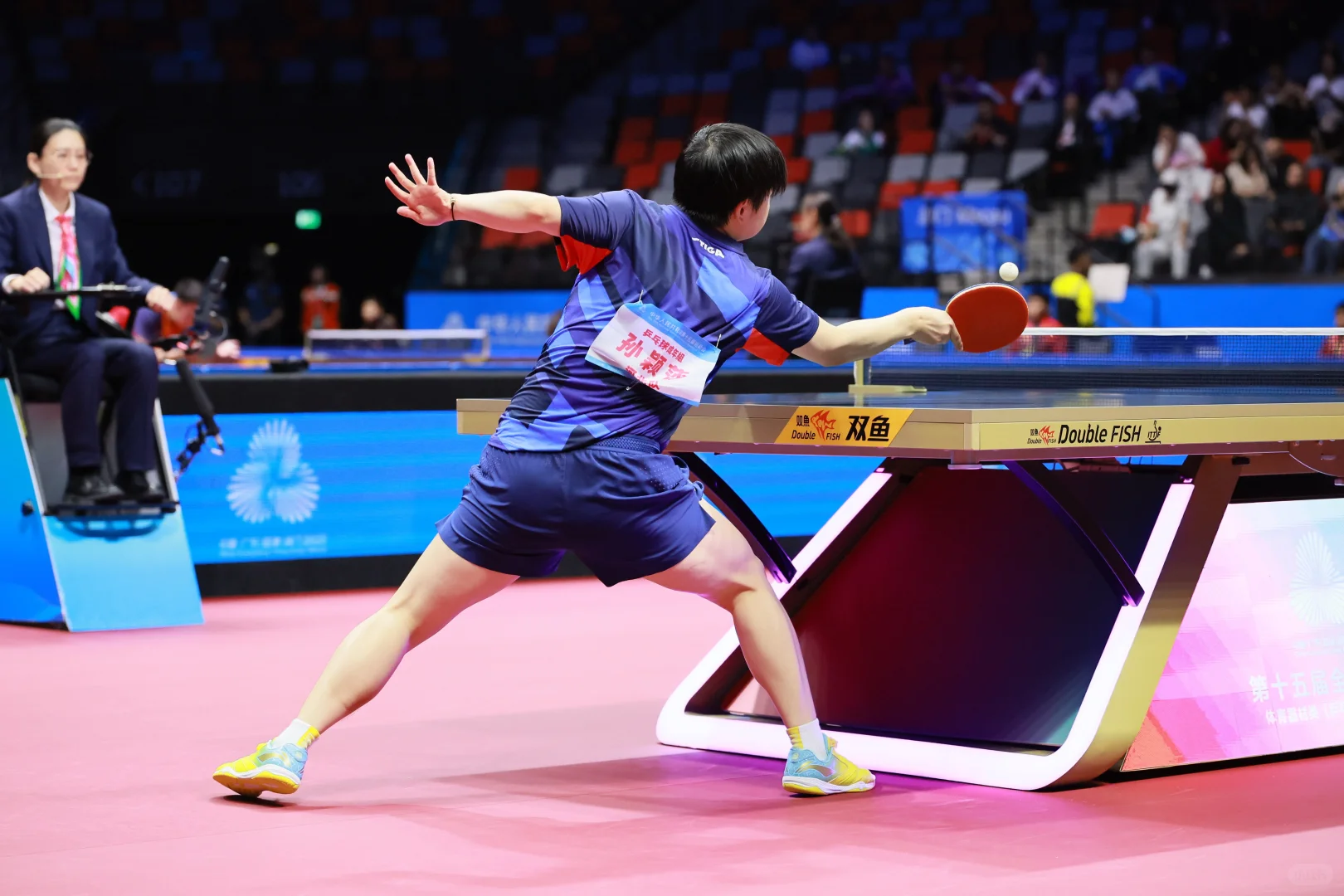 第十五届全国运动会🏓🦈 11.12