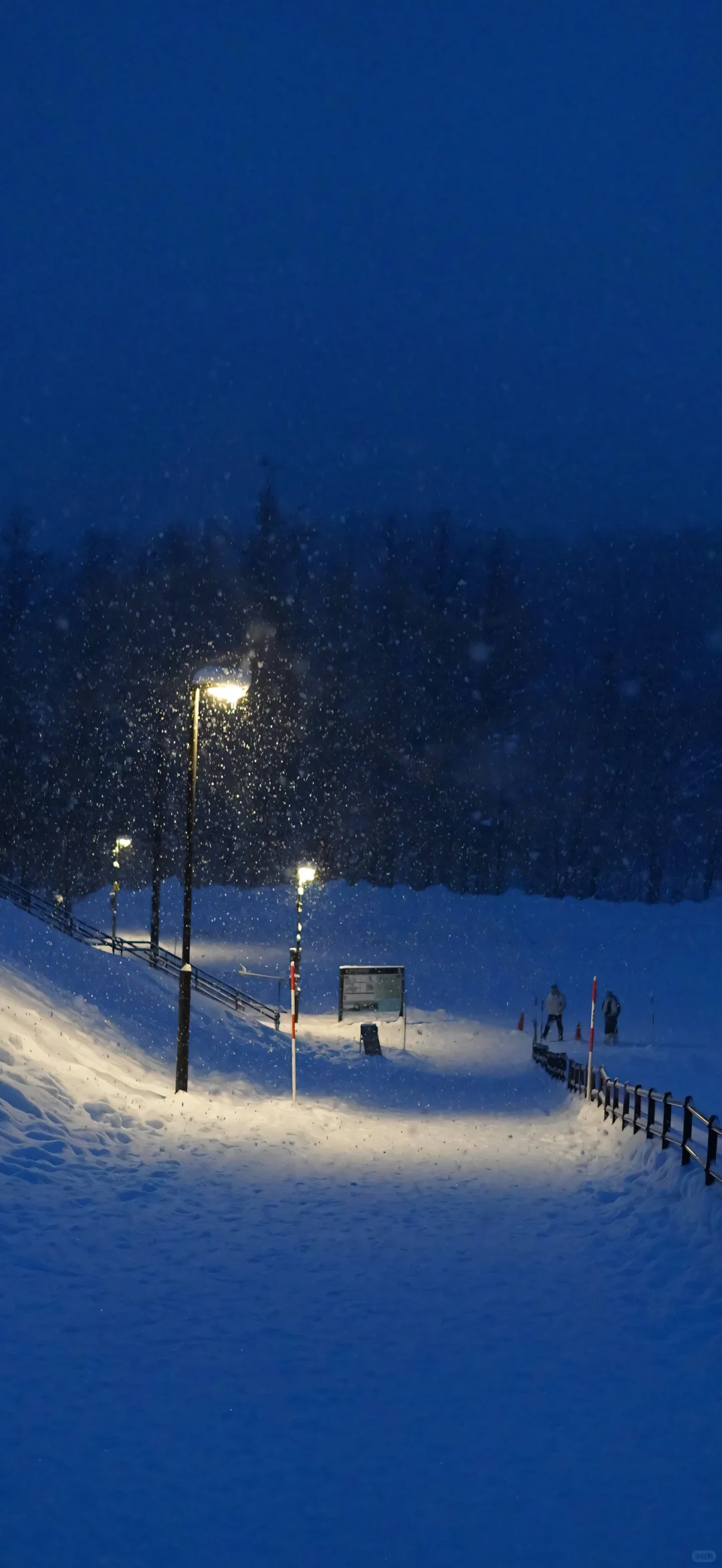 壁纸｜下雪了❄️