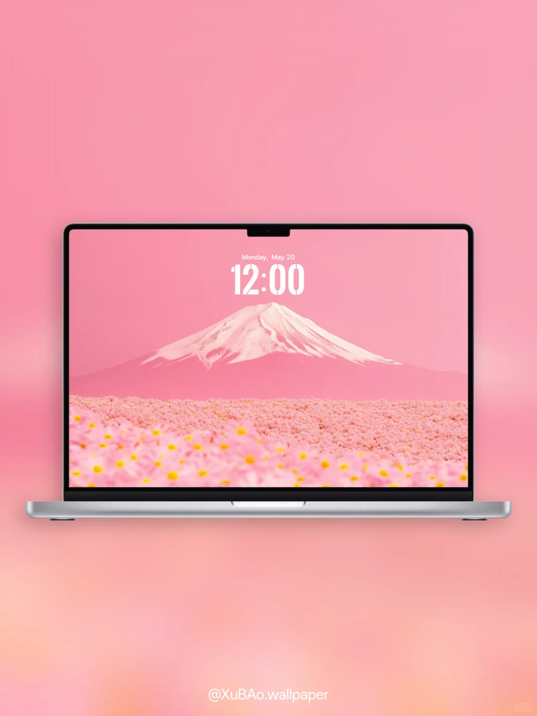 C2517 | 4k壁纸 | 山与花海[粉黛]