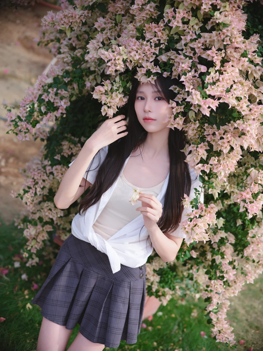 一颗三角梅就有各种角度