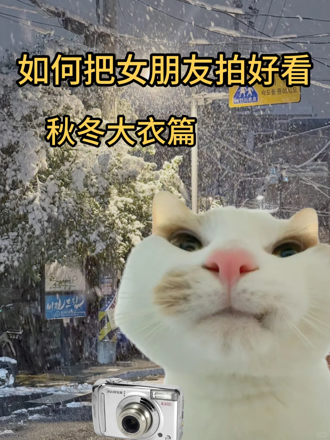 如何把女朋友拍好看｜秋冬大衣篇