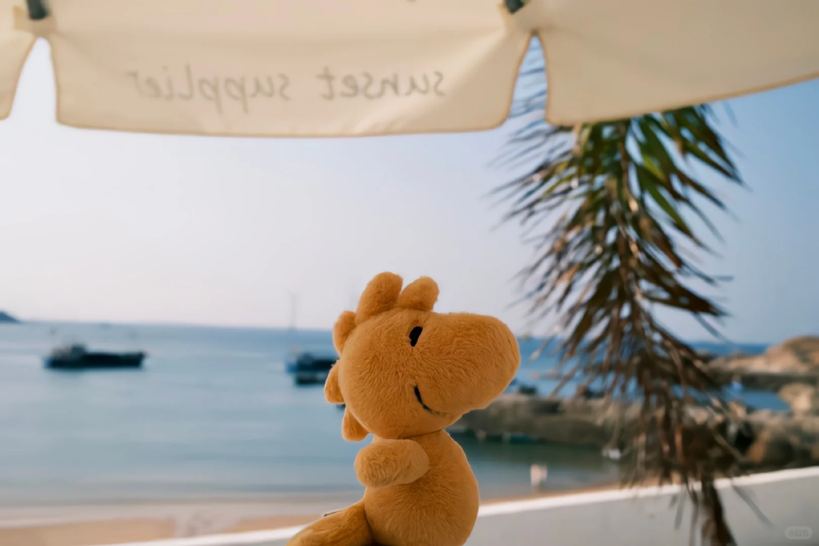 ins风氛围感高级iPad电脑壁纸合集分享