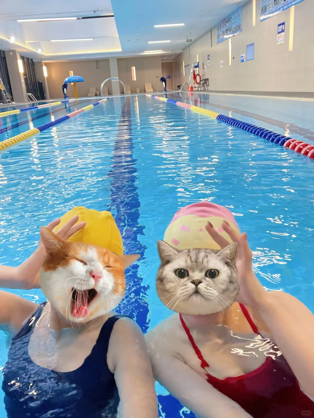 11°的气温去游泳大家都穿什么去呢？