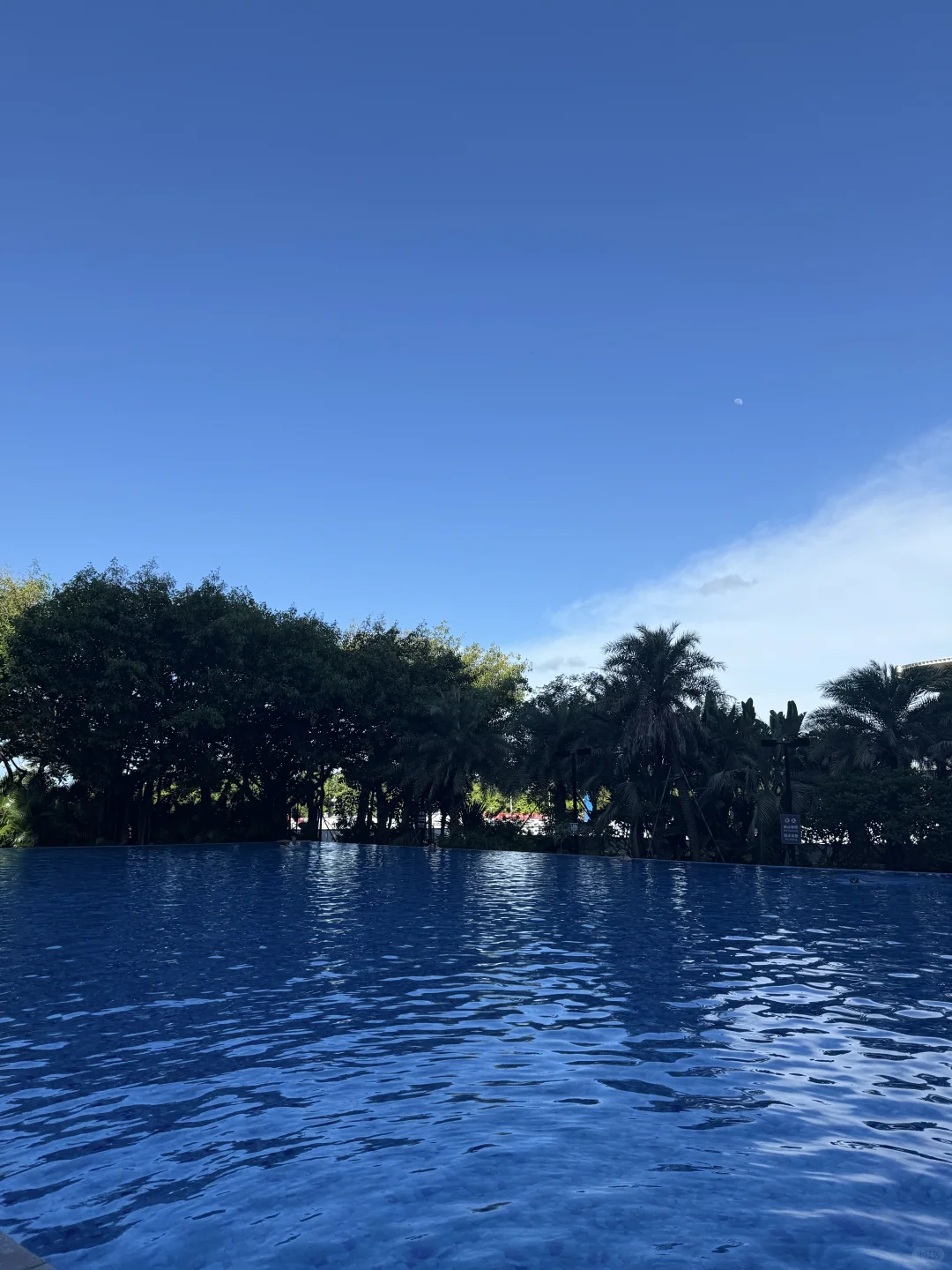 一种坚持 一种热爱｜运动日常🏋️‍♀️🎧🌿