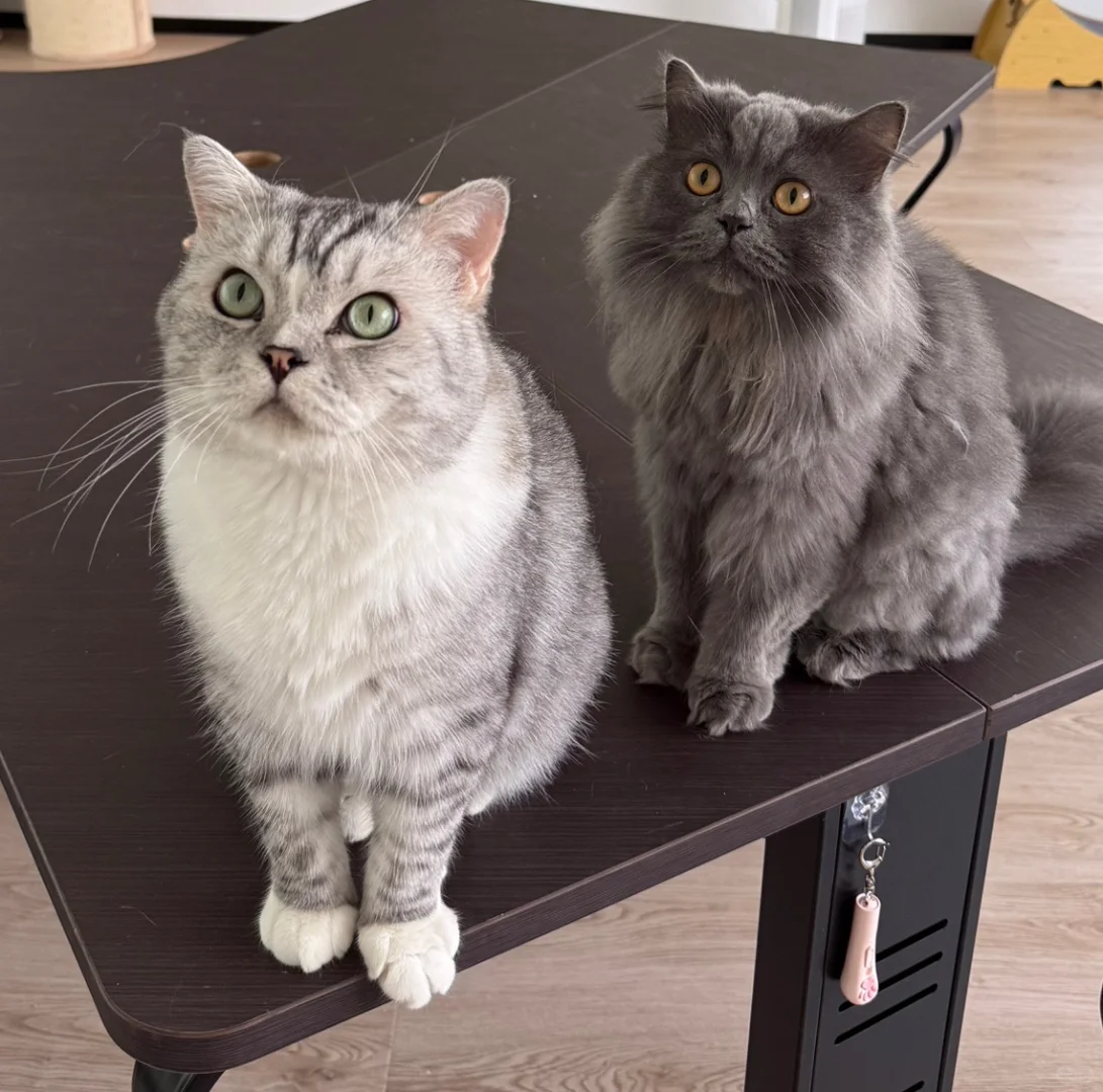 有想做美甲的美少女吗？