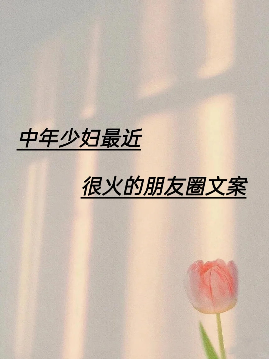 中年少妇最近很火的朋友圈文案