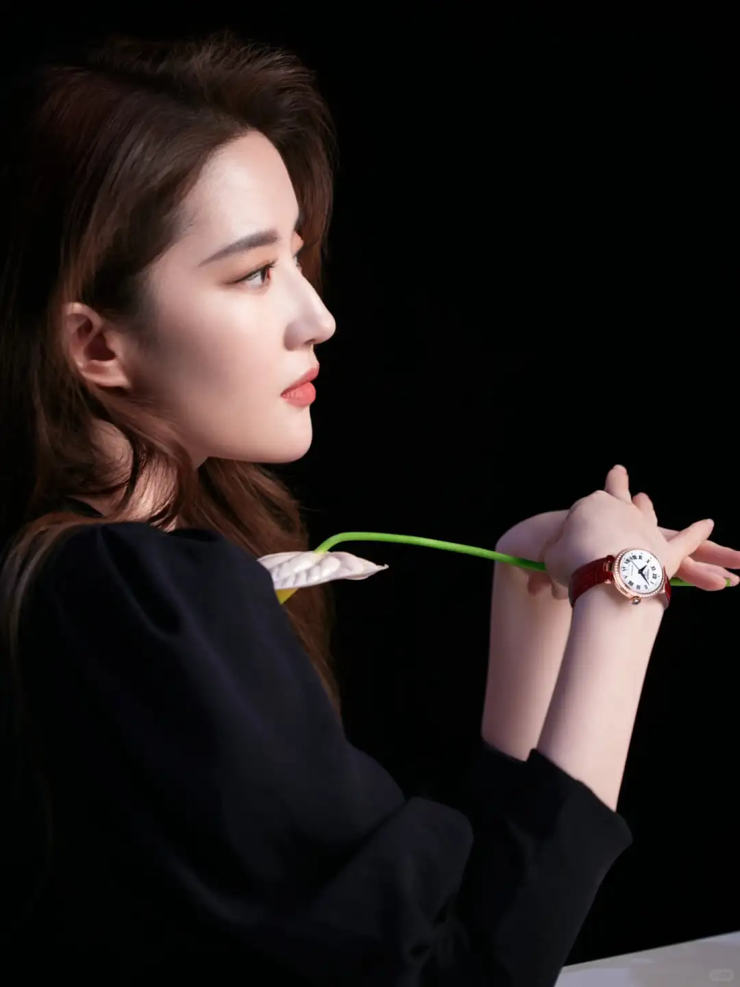 刘亦菲这组图直接把“仙气”焊在脸上了