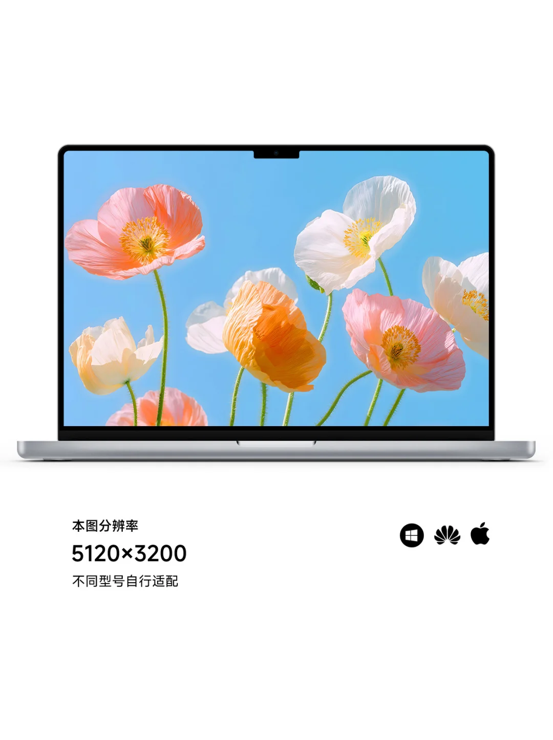 鲜花只为自己开｜ios26适配3D景深壁纸Z395