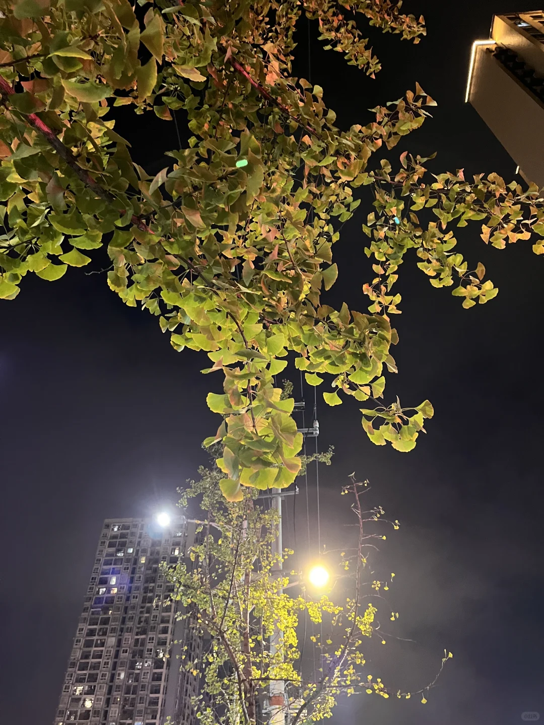 没错‼️我们游泳女