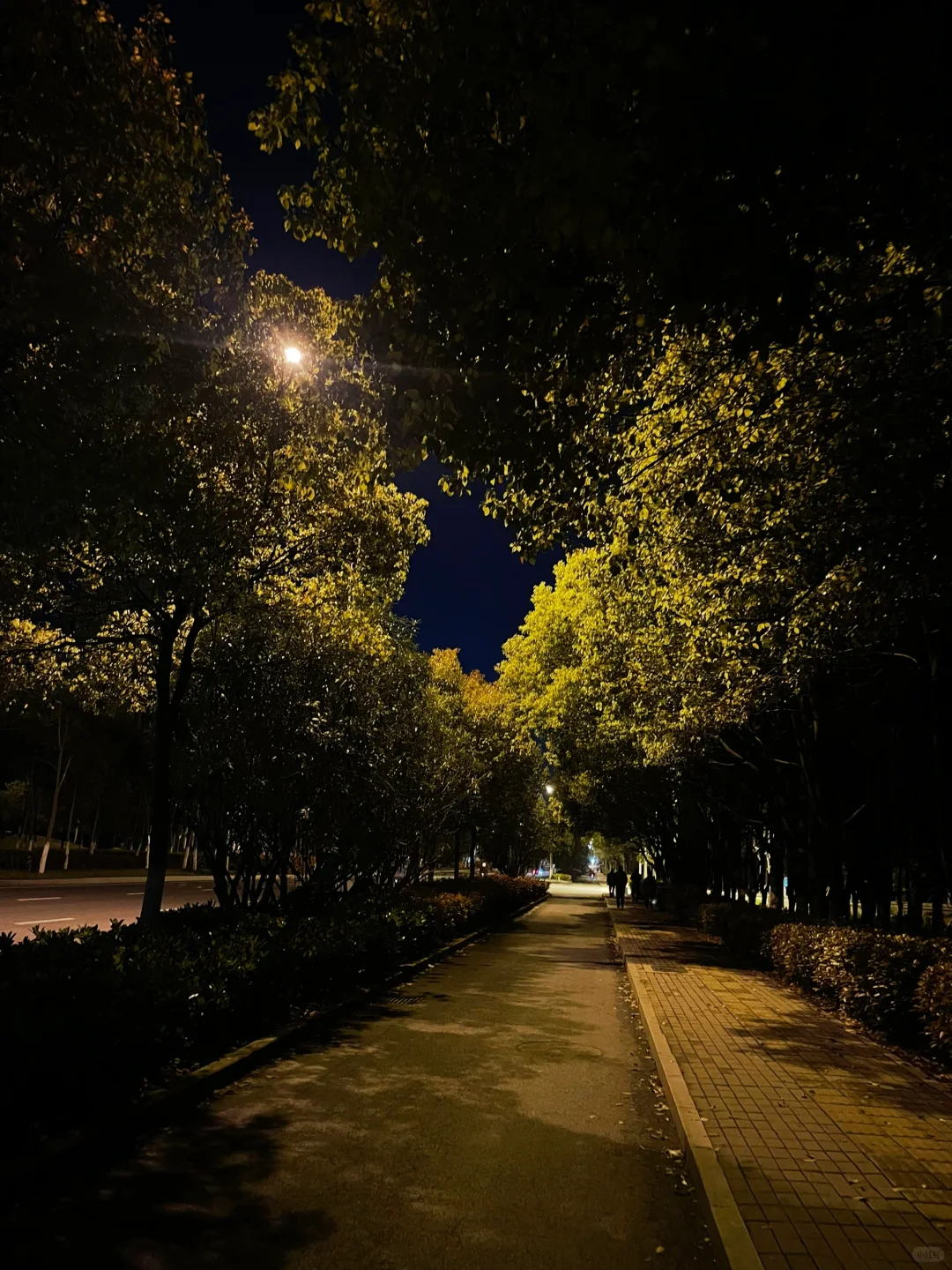 忘记生活的疲惫，感受运动的乐趣🏃