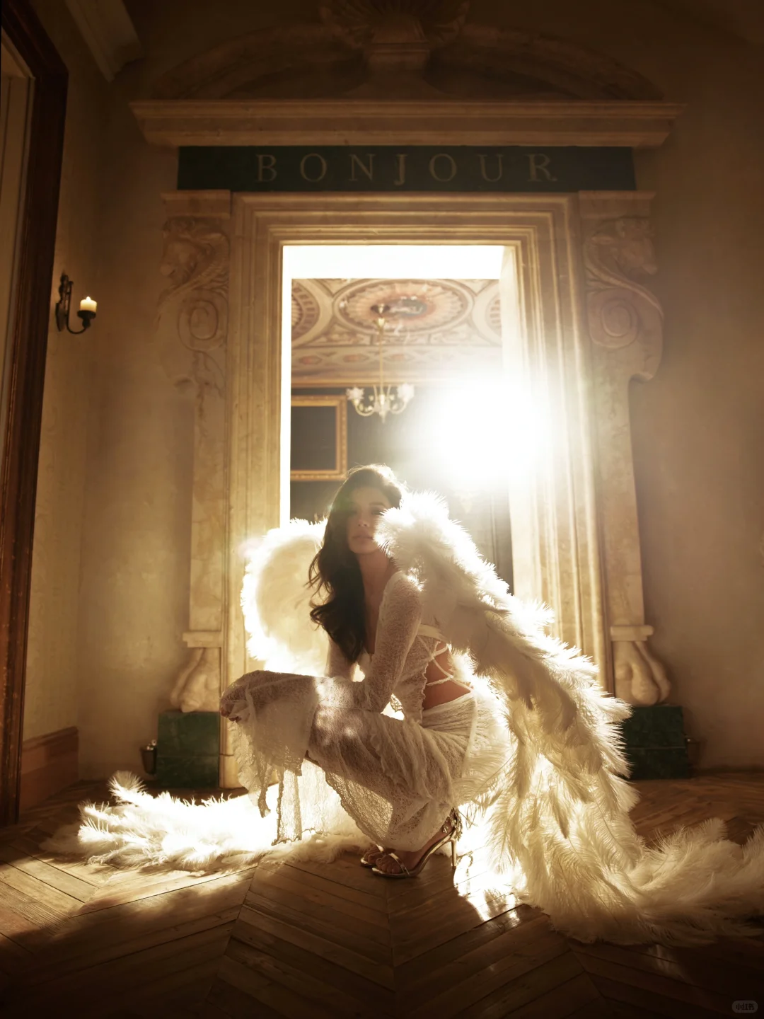 被光吻过的羽翼