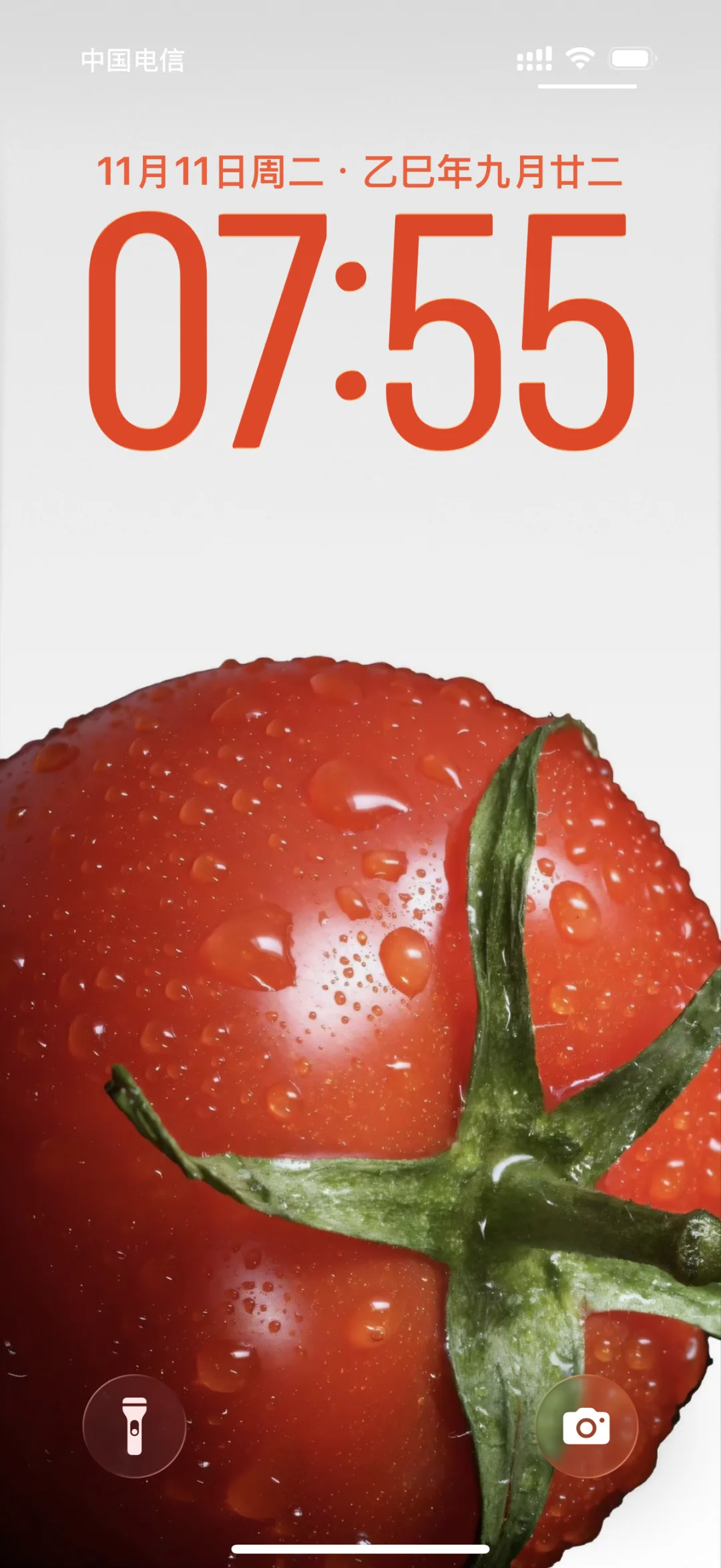 今日壁纸｜把“好柿🍅”揣进手机里