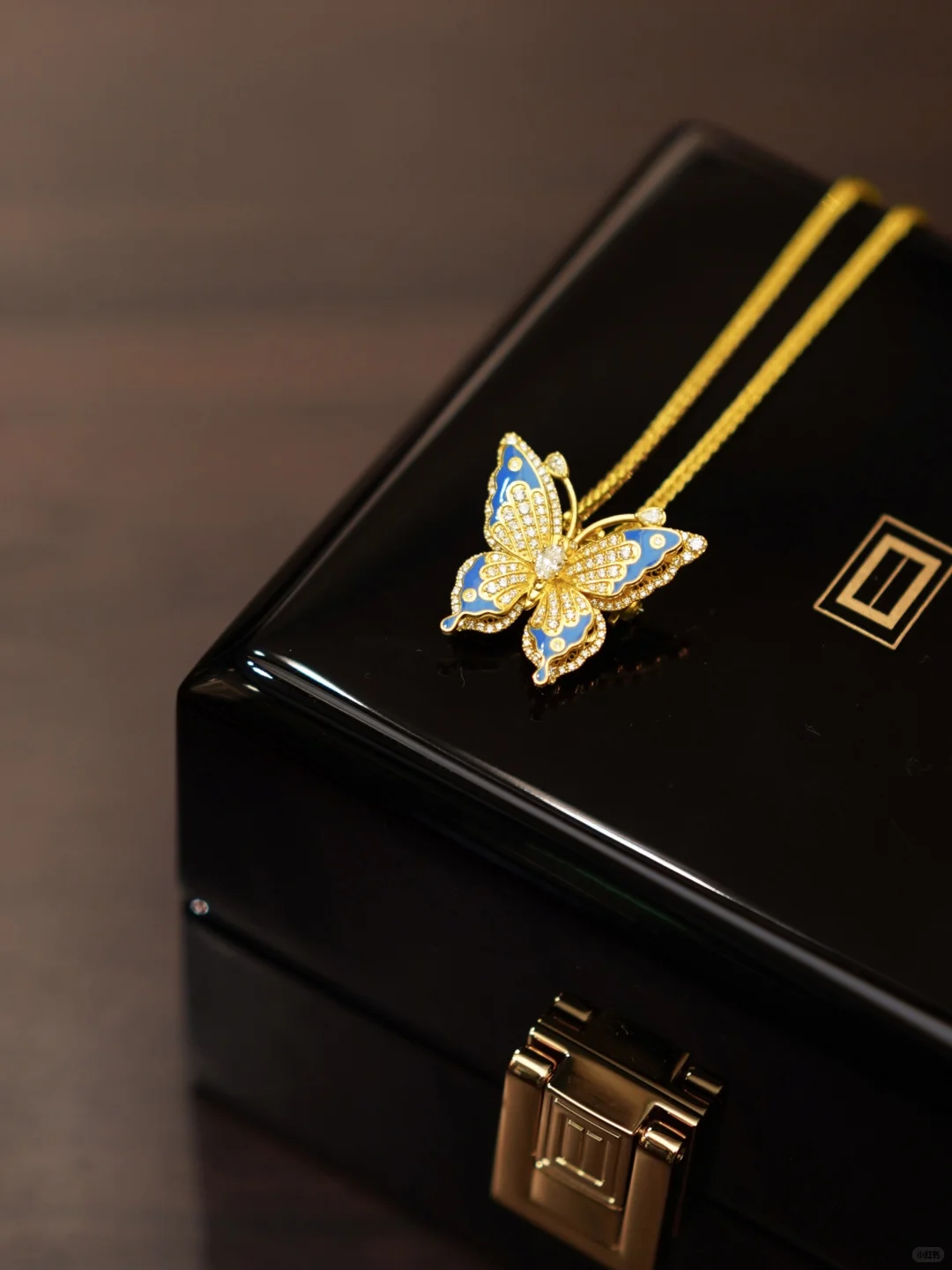 “光明女神”闪蝶-翩然而至的金色梦境✨