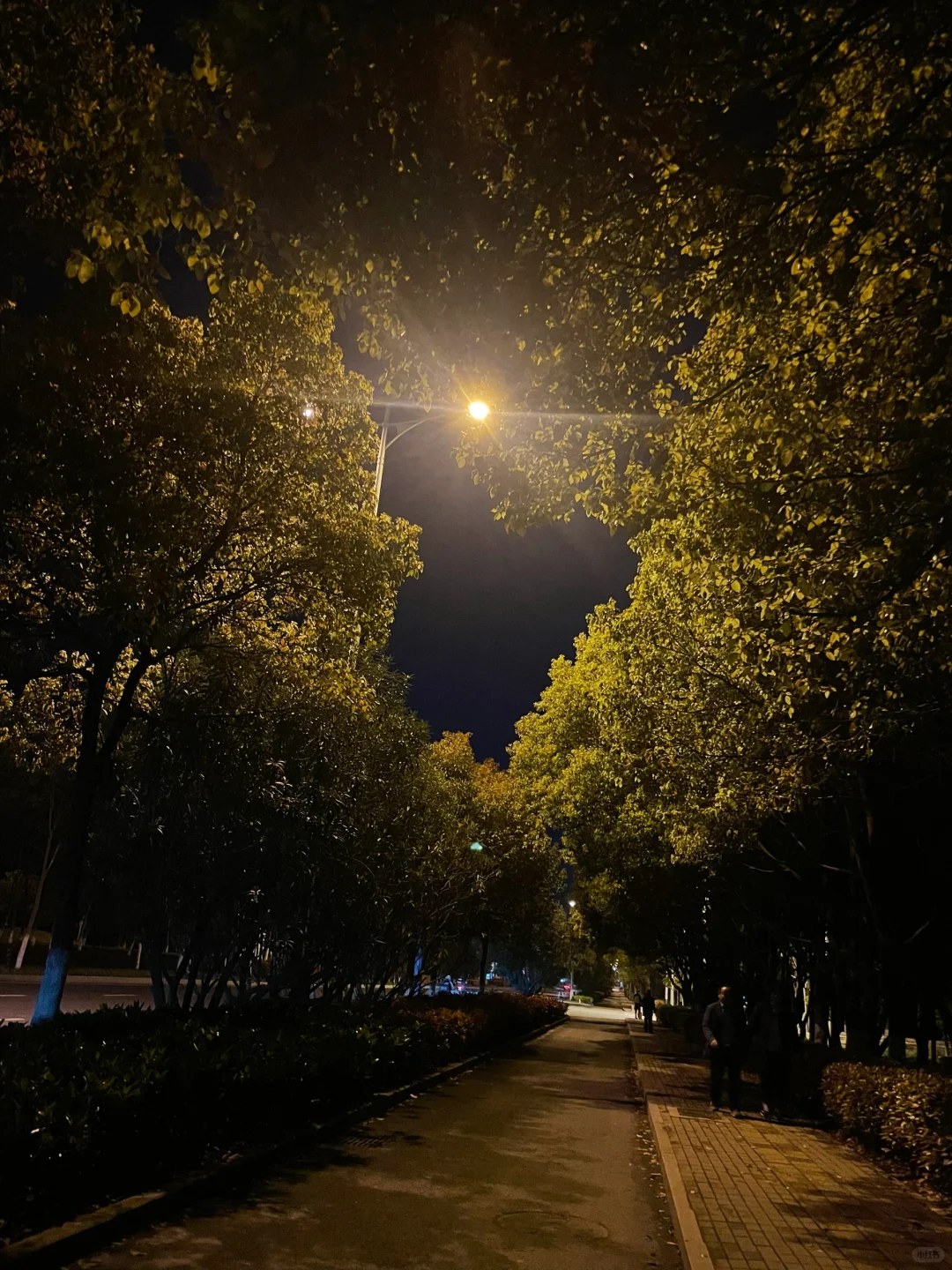 忘记生活的疲惫，感受运动的乐趣🏃