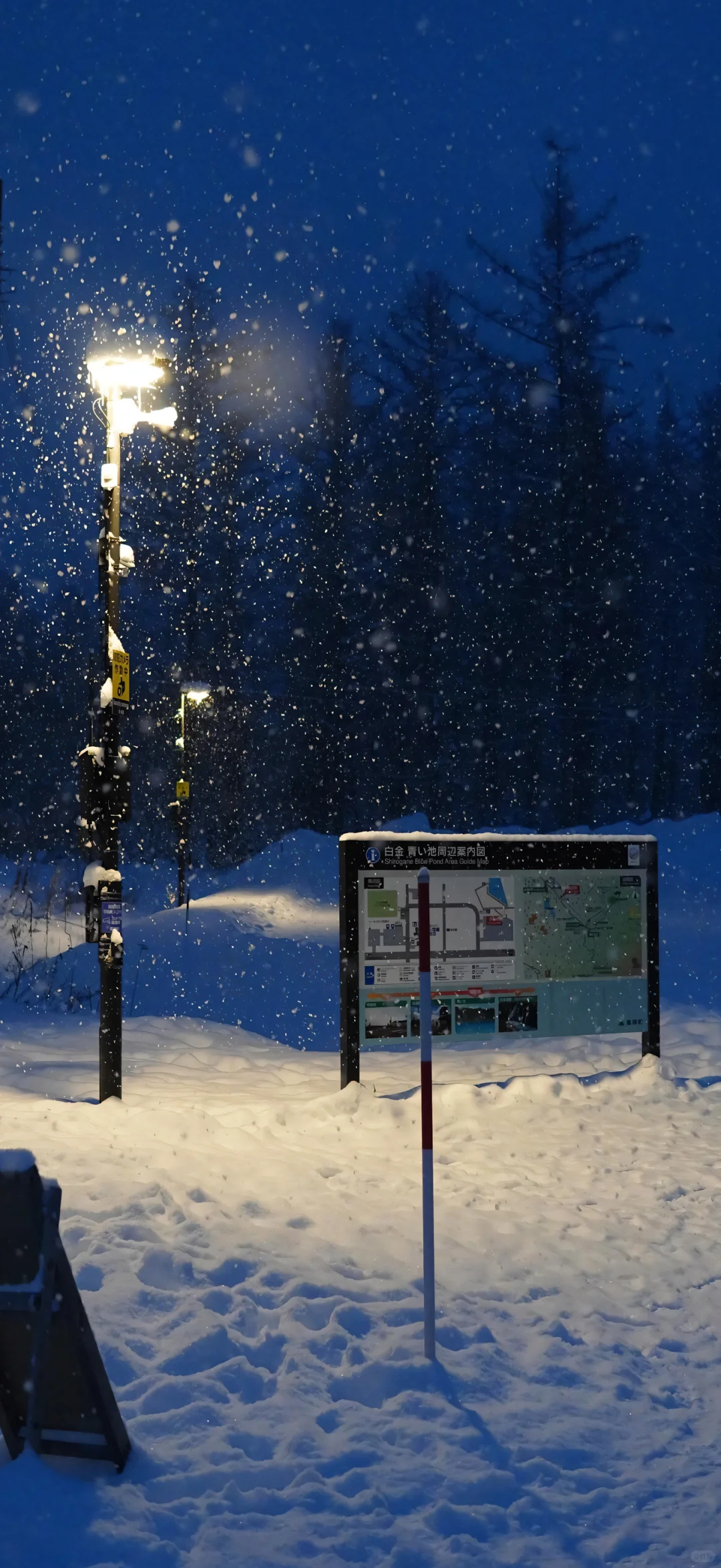 壁纸｜下雪了❄️