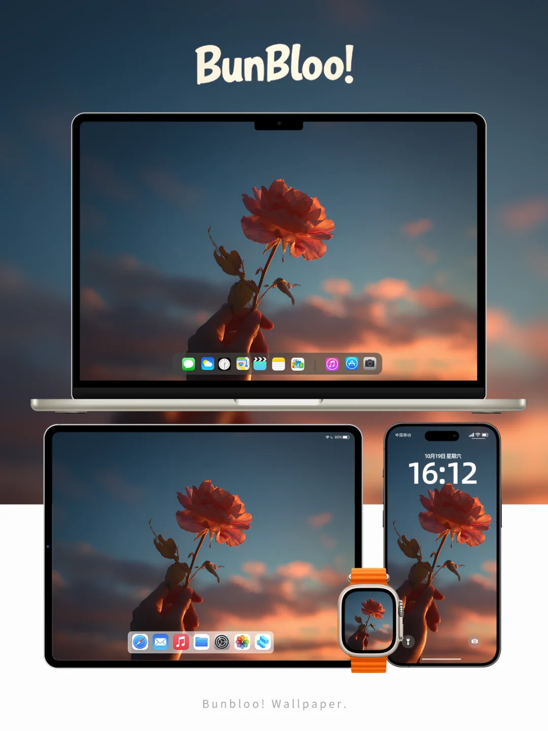 今日份壁纸分享，花花的世界真美啊！｜140