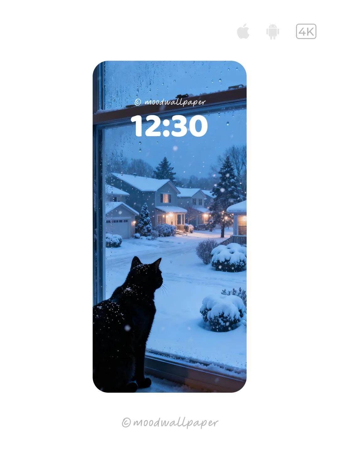 🐱北海道黑猫｜Mood｜情绪壁纸