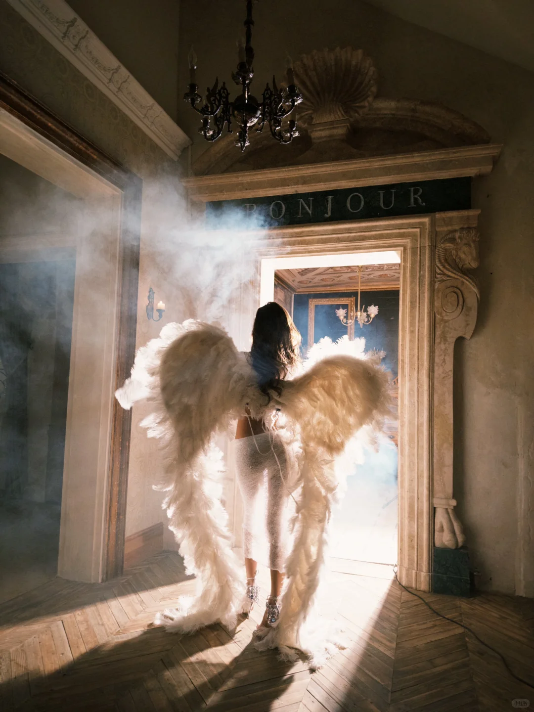 被光吻过的羽翼