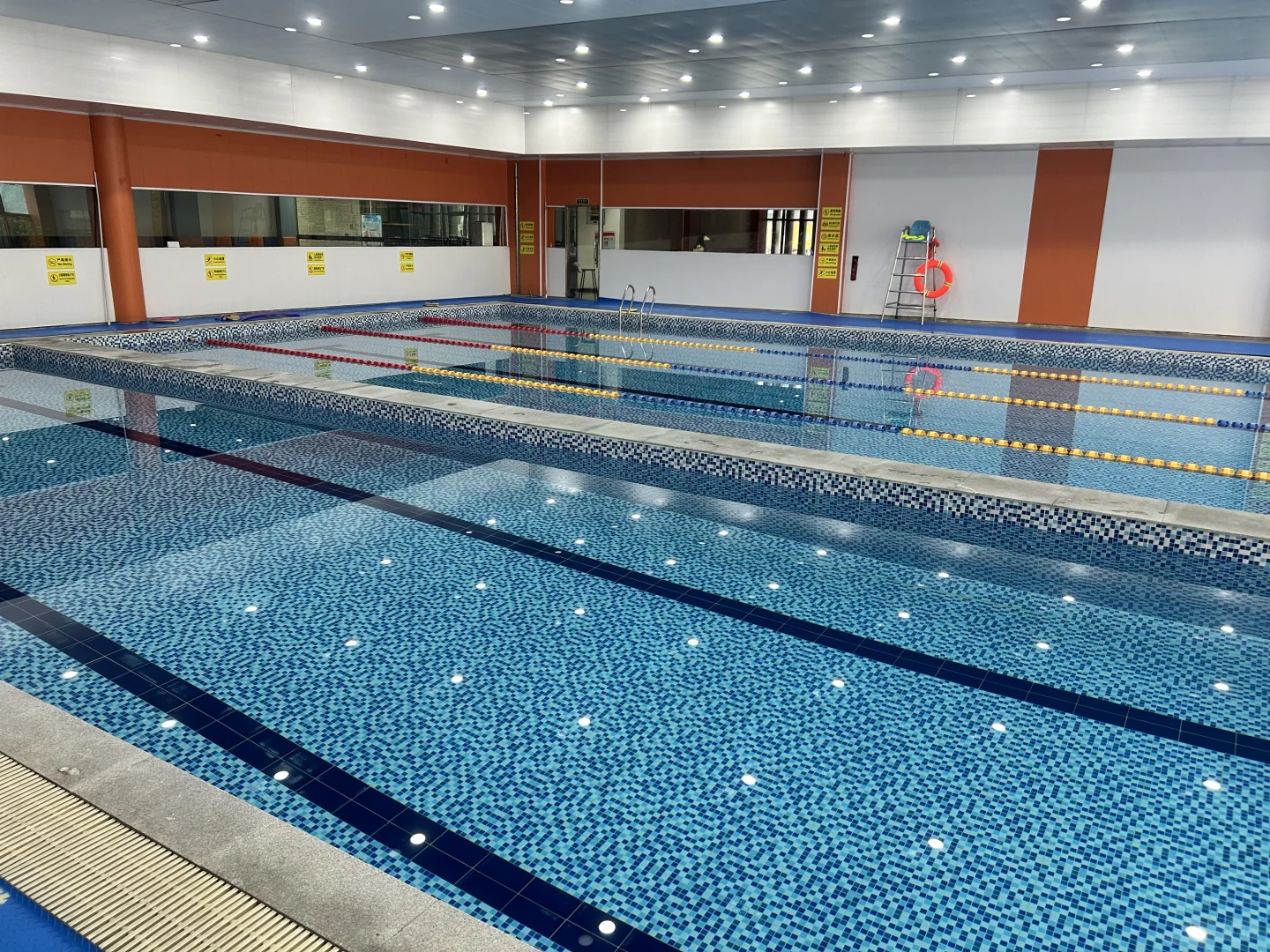 女性必试！游泳真的太香了